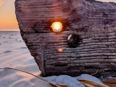 a log on the beach with a sunset in the background at 10 person holiday home in Saltum-By Traum in Saltum