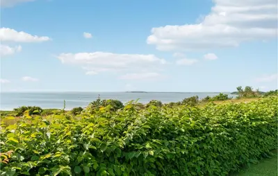 a field of bushes with the ocean in the background at Amazing Home In Vesløs in Øsløs