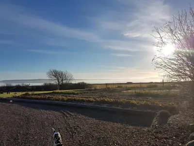 a dog standing on the side of a road at 4 person holiday home in Thisted-By Traum in Thisted