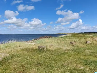 a field of grass next to a body of water at 5 person holiday home in Karby-By Traum in Karby