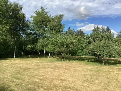 an open field with trees in the background at 8 person holiday home in Højslev-By Traum in Højslev