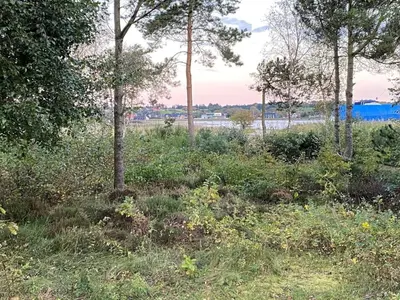 a field of grass with trees in the background at Holiday Home Bosi - 100m to the fjord by Interhome in Højslev