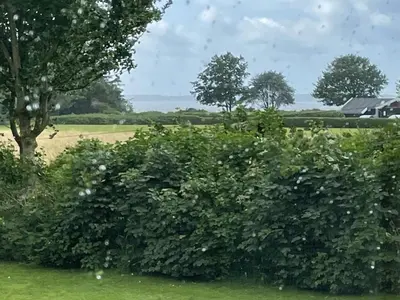 a large bush in a field with a house in the background at Holiday Home Bjerne - 250m to the fjord by Interhome in Roslev