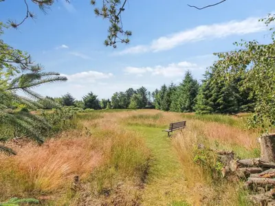 a park bench sitting in the middle of a field at Holiday Home Valda - 1-5km from the sea by Interhome in Saltum