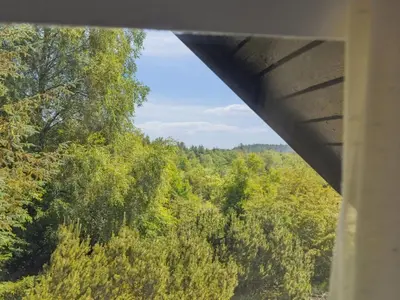 a view of a forest from under a bridge at Holiday Home Nadia - 300m to the fjord by Interhome in Fur