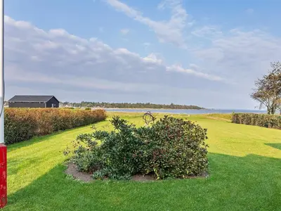 a green yard with a large bush in the grass at 6 person holiday home in Skals-By Traum in Skals