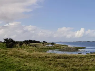 a grassy field with a body of water at 8 person holiday home in Lemvig-By Traum in Lemvig