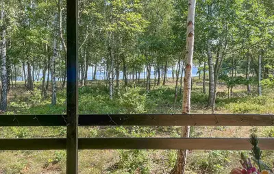 a window with a view of a forest at 2 Bedroom Gorgeous Home In Højslev in Højslev