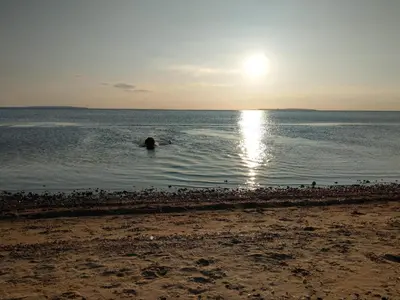 a person swimming in the water at the beach at 4 star holiday home in Løgstør-By Traum in Løgsted