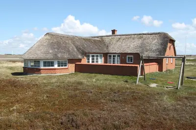 a house with a thatched roof in a field at Cozy thatched cottage with pool by the sea - SJ450 in Harboør