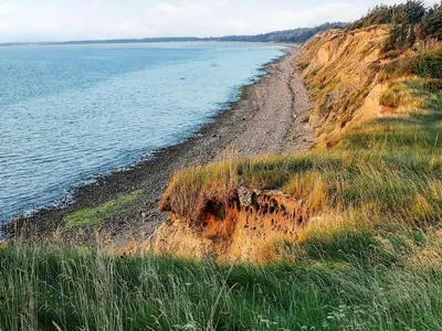 a sandy beach next to a body of water at 6 person holiday home in Farsø-By Traum in Farsø