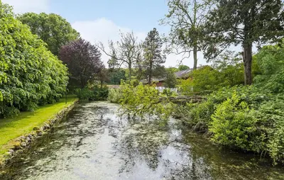 a tree branch laying on a river at Lejl 5 in Brovst