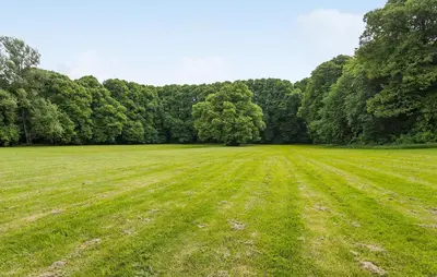 a large grass field with trees in the background at Lejl 6 in Brovst