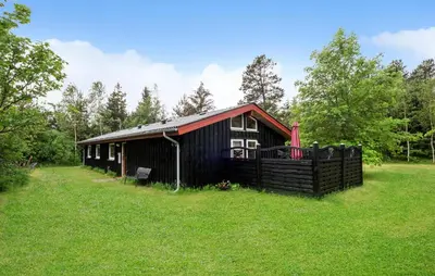a black cabin with a red roof in the grass at Stunning Home In Brovst With Sauna in Brovst