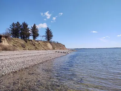 a beach with trees and water on a sunny day at 4 star holiday home in Øster Assels-By Traum in Øster Assels