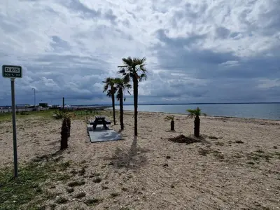 a picnic table and palm trees on a beach at 4 star holiday home in Øster Assels-By Traum in Øster Assels