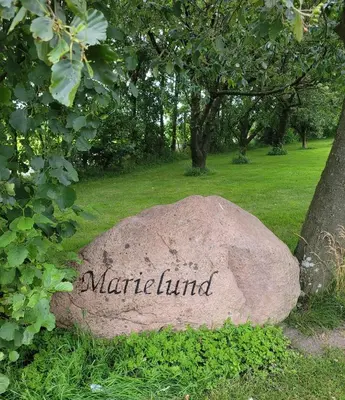 a rock with the word marfield on it in a park at Vakantiewoning Denemarken in Års