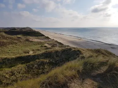 a view of a beach with the ocean at 4 person holiday home in Thisted-By Traum in Thisted