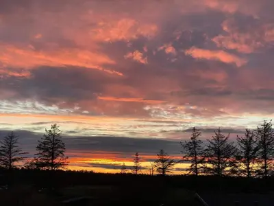 a sunset with trees under a cloudy sky at 6 person holiday home in Pandrup-By Traum in Rødhus
