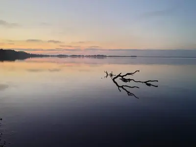 a tree branch in the water at sunset at 4 person holiday home in Lemvig-By Traum in Lemvig