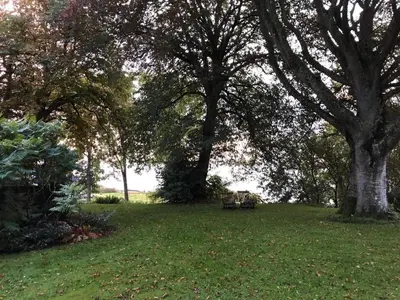 a park with trees and a bench in the grass at 4 person holiday home in Hurup Thy-By Traum in Sindrup