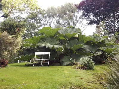 a chair in a field with a large plant at 5 person holiday home in Thyholm-By Traum in Sindrup