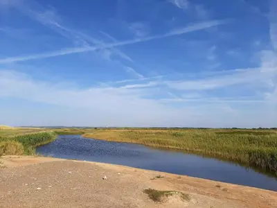 a river in the middle of a field at Luxury Retreat with Pool - By Traum Ferienwohnungen in Torup Strand