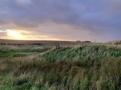 a field of tall grass with the sunset in the background at 4 person holiday home in Lemvig-By Traum in Trans