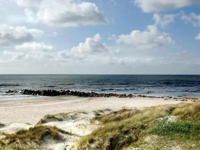 a beach with a flock of birds on the water at 8 person holiday home in Ulfborg in Thorsminde