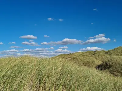 a field of grass with a blue sky and clouds at Luxury Beachfront Retreat - By Traum Ferienwohnungen in Rødhus