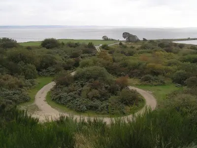 two winding dirt roads in a field with the ocean at Luxury Retreat near Beach - By Traum Ferienwohnungen in Blokhus