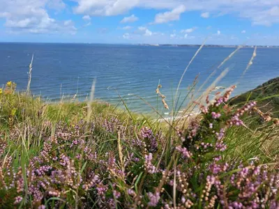 a field of grass with the ocean in the background at 6 person holiday home in Struer-By Traum in Remmer Strand