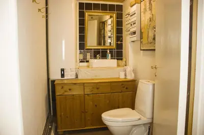 a bathroom with a toilet and a sink and a mirror at Astrup vig Spa og Sauna in Roslev