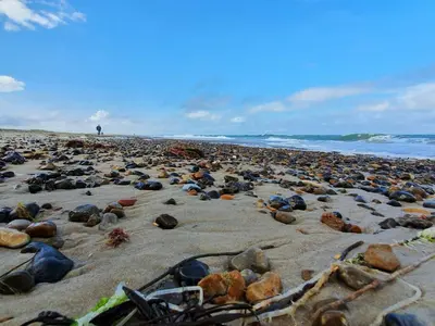a beach filled with lots of rocks and the ocean at Secluded Haven in Thorup - By Traum Ferienwohnungen in Torup Strand