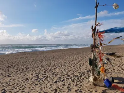 a tree in the sand on a beach at Cozy Renovated Cottage - By Traum Ferienwohnungen in Harboør