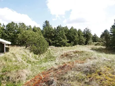a grassy hill with trees in the background at 6 person holiday home in Blokhus-By Traum in Blokhus