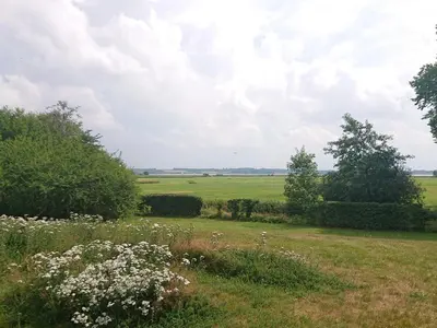 a field of grass with trees and white flowers at 6 person holiday home in Øster Assels-By Traum in Sillerslev
