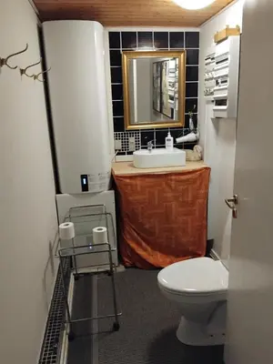 a bathroom with a toilet and a sink and a mirror at Dejligt og stort hus med spa og sauna in Roslev