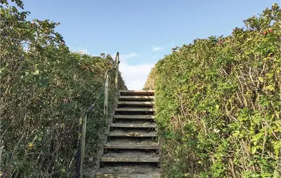 a set of stairs going up a hill with trees at Holiday Home Vestervig With A Fireplace 164 in Vestervig