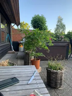 a wooden bench sitting on a patio with potted plants at Rækkehus tæt på skov, sø og by in Viborg