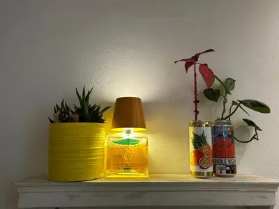 a table with a lamp and plants on it at En SMUK og CHARMERENDE OASE meget tæt på centrum! in Holstebro