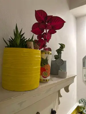 a yellow vase with a plant on a shelf at En SMUK og CHARMERENDE OASE meget tæt på centrum! in Holstebro