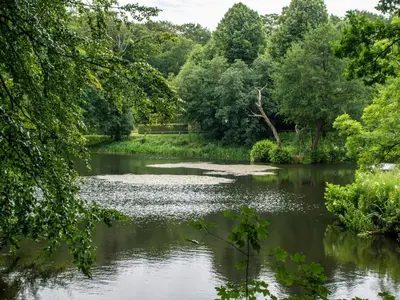 a view of a pond in a park at Panoramic Fjord Retreat with Spa Bath in Øster Assels