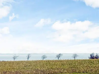 a group of trees in a field with a sky at 8 person holiday home in Roslev in Roslev