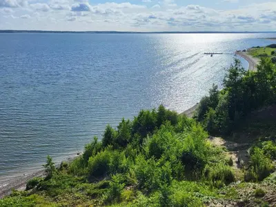 a large body of water with a beach and trees at 8 person holiday home in Roslev in Roslev