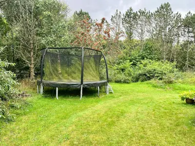 a bench sitting in the grass in a field at Familievenligt Hus Nær Tranum Klitplantage in Pandrup