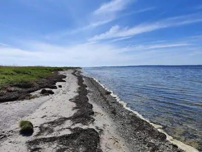 a sandy beach with water and a blue sky at 6 person holiday home in Nibe in Nibe