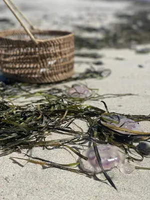 a pile of seaweed on the beach with a basket at Cozy Summer House In Agger Near The North Sea in Vestervig