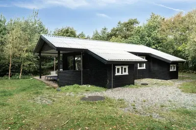 a small black cabin with a tin roof at Warm Colors And Beautiful Outdoors In Thy in Sønder Ydby