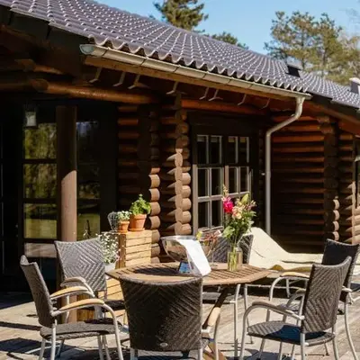 Authentic Log House Amid Evergreens In Vendsyssel